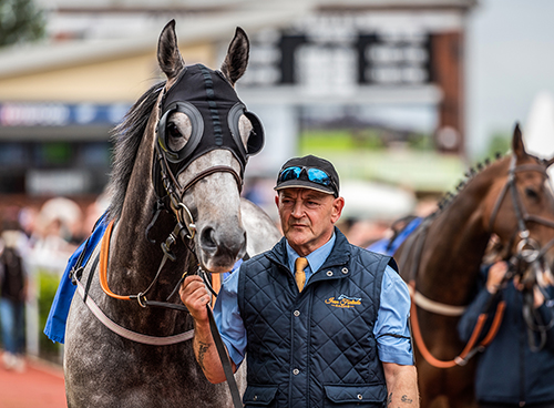 Owners+Trainers-Secondary-Image-500x368px