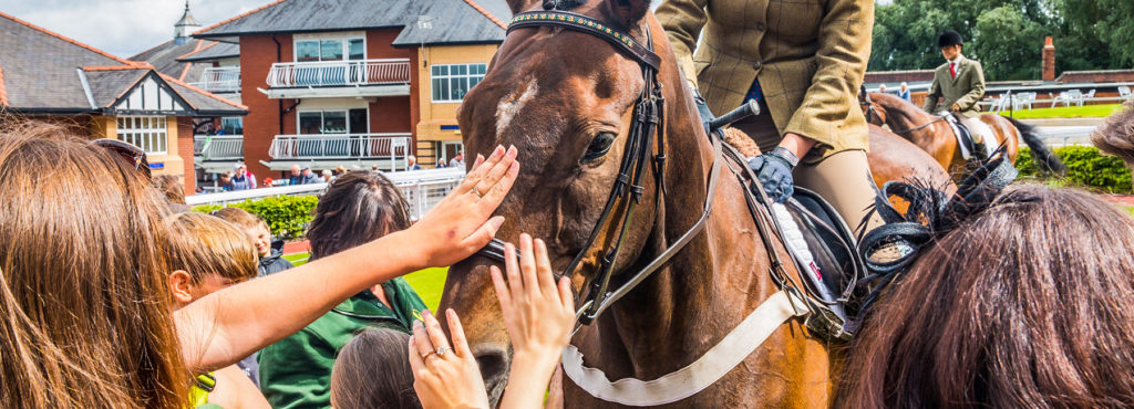 The-Horse2-1800x650px