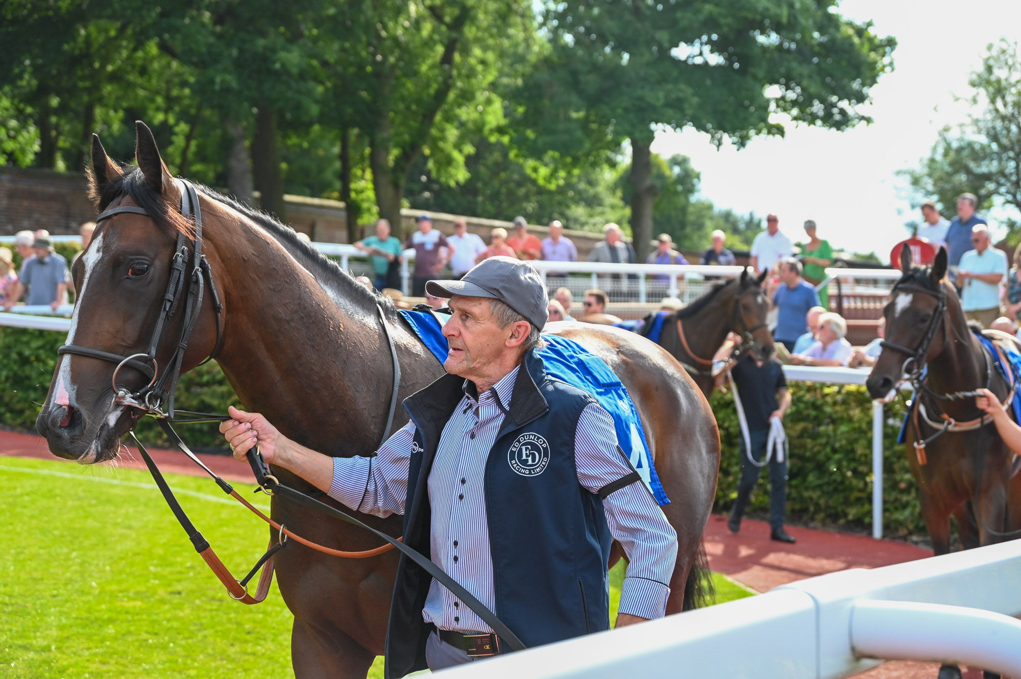 490126296_1230295902437390_916306841867680518_n