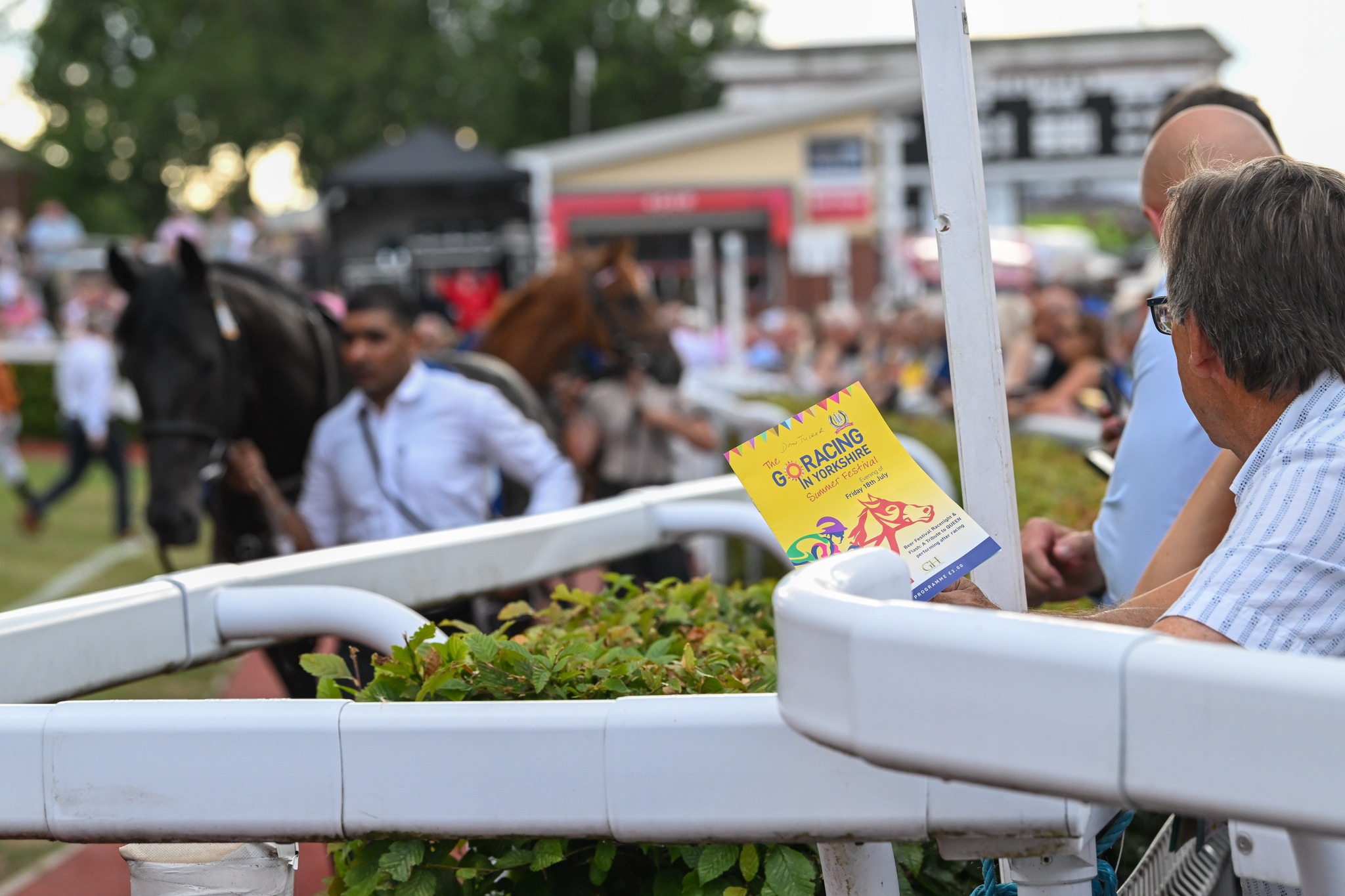 519955600_1323814076418905_1770221531409851141_n