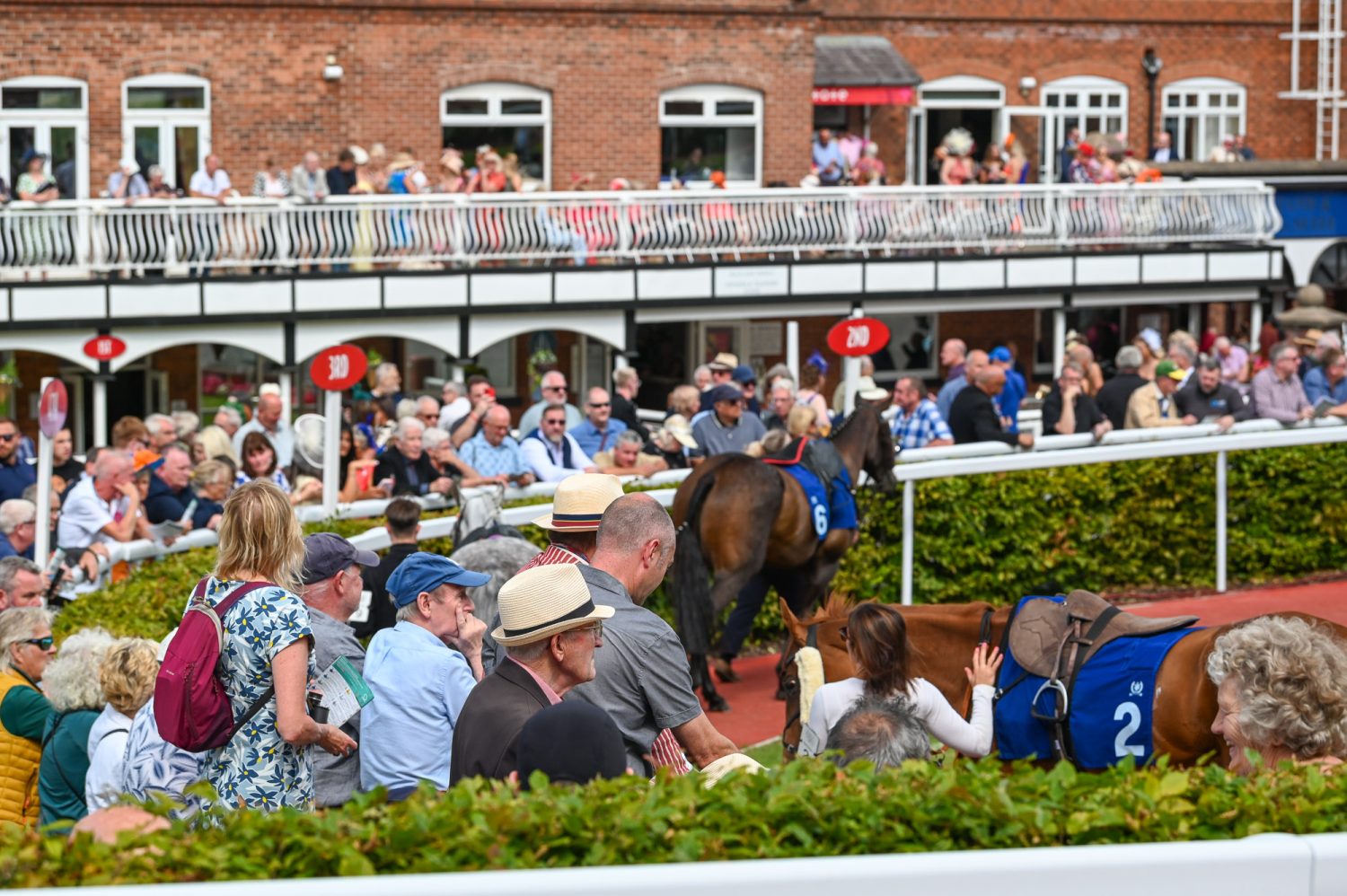 530234346_1349385900528389_3879538918707315340_n