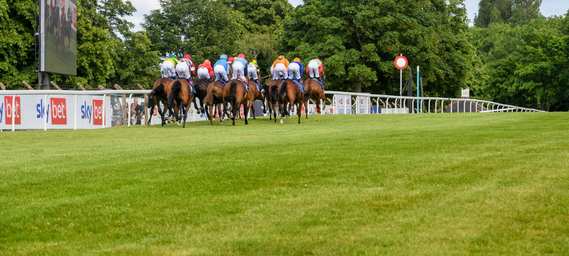 Untitled design (21)