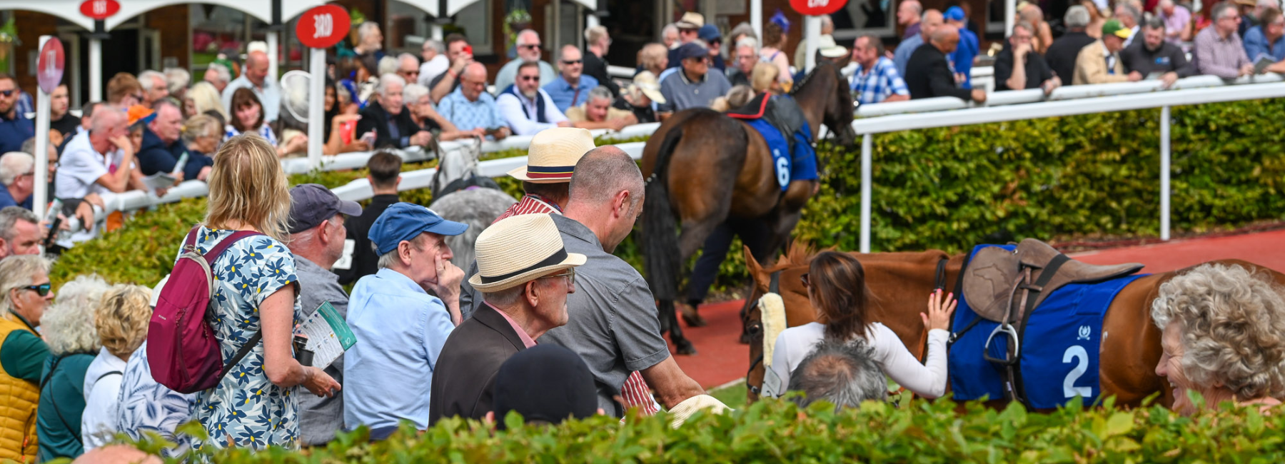 Untitled design (54)