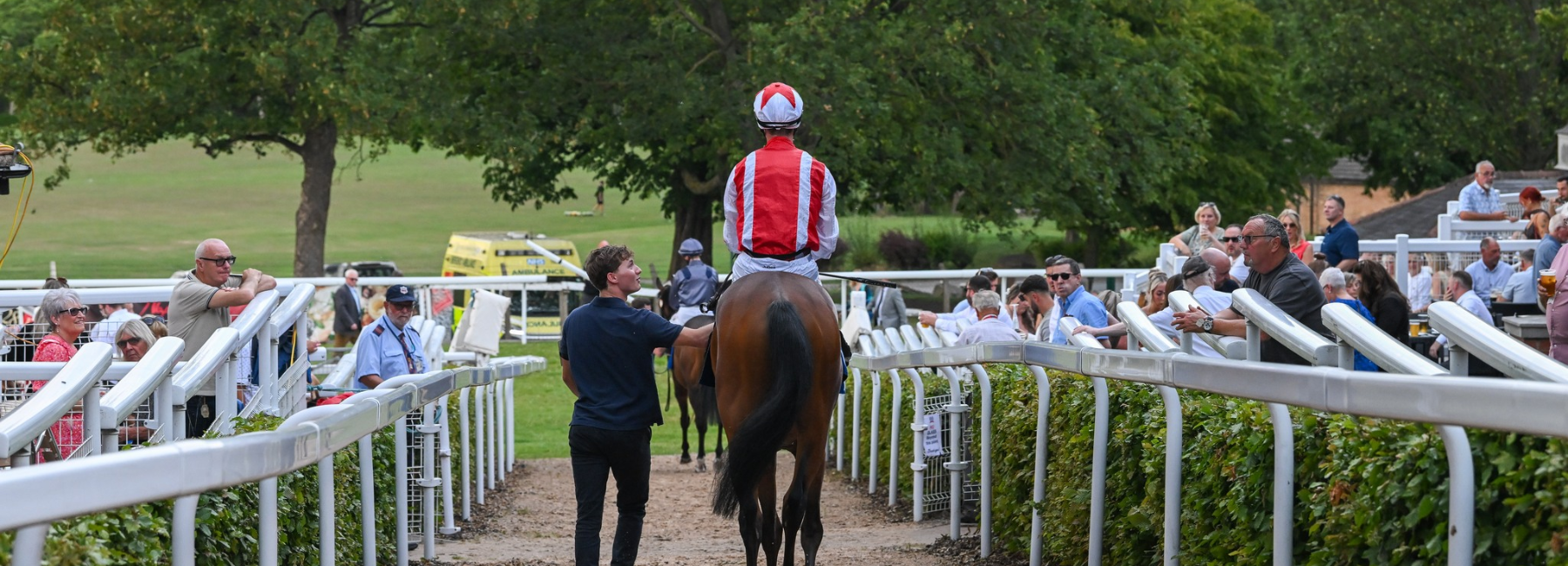 Untitled design (56)