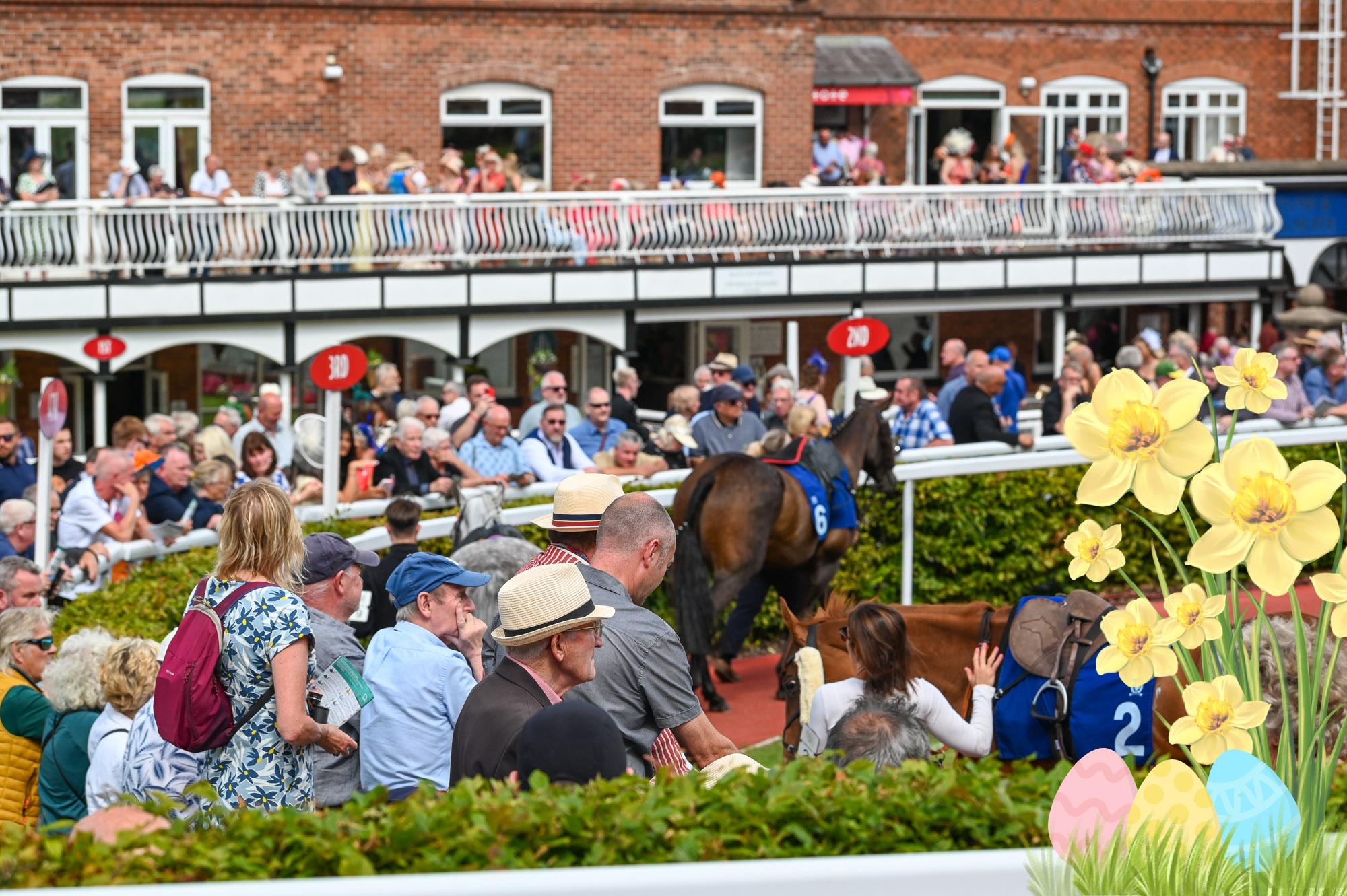 Untitled design (58)