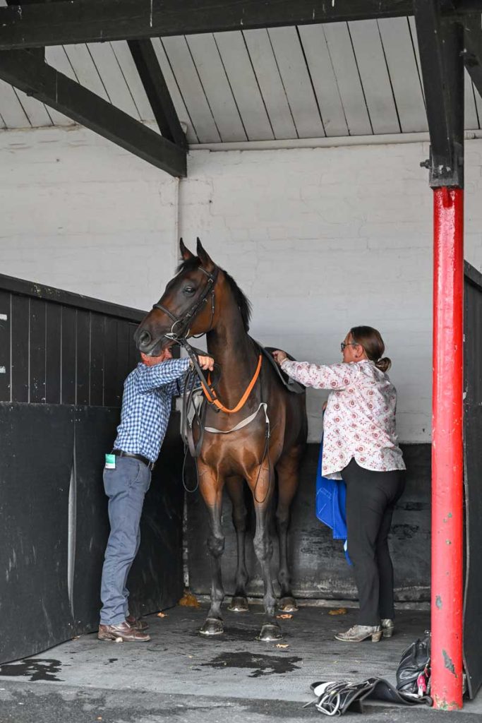 ownerandtrainers_essesntial